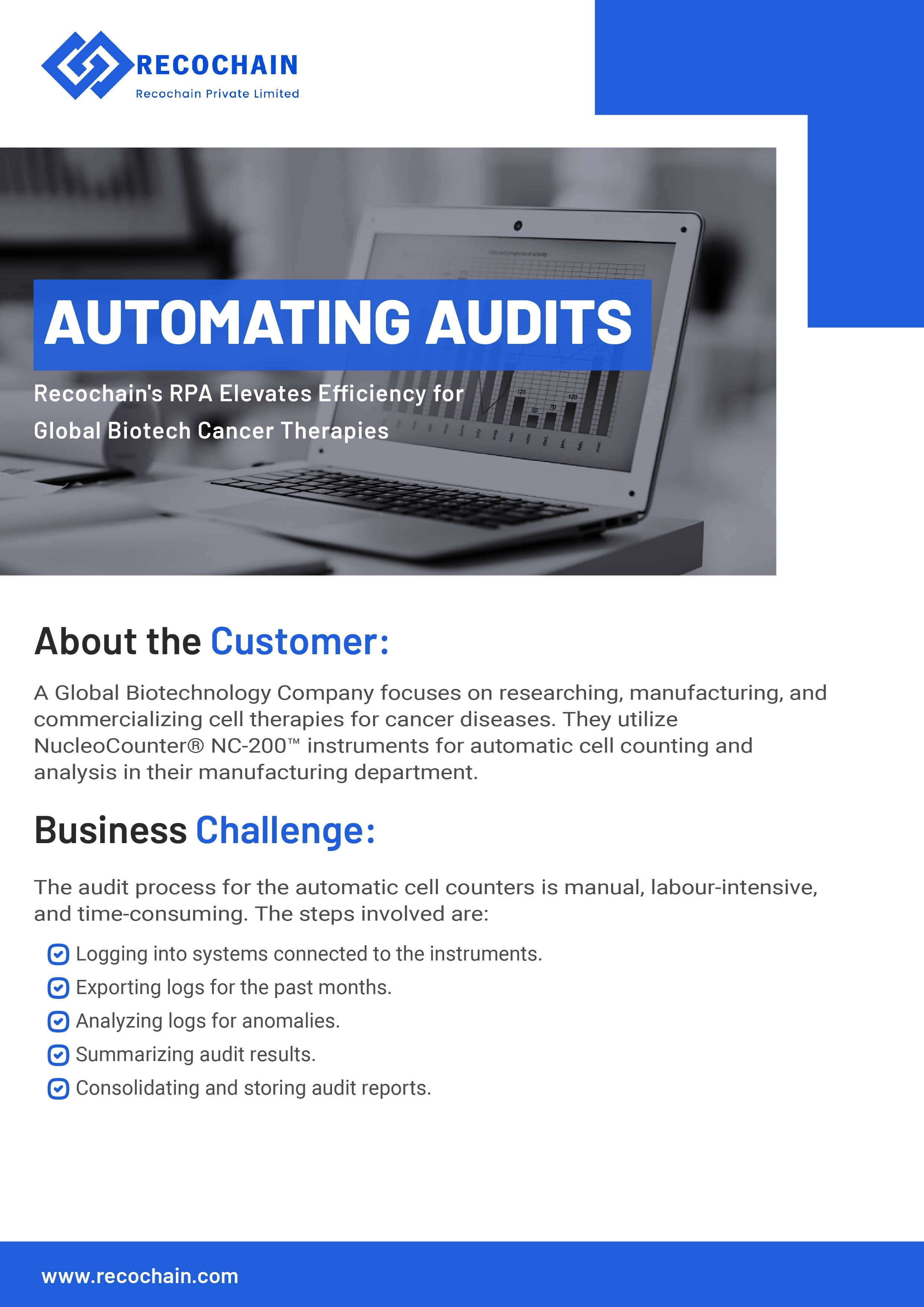 Automating Audit Case Study