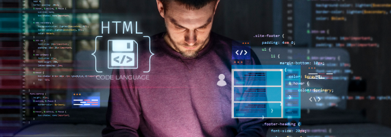 Web App Development and Support